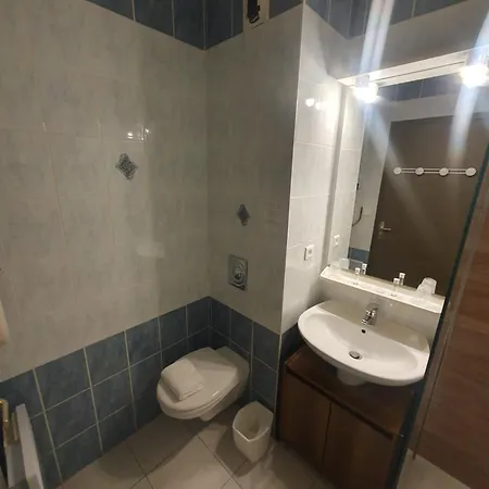 Salea Hotell 3*