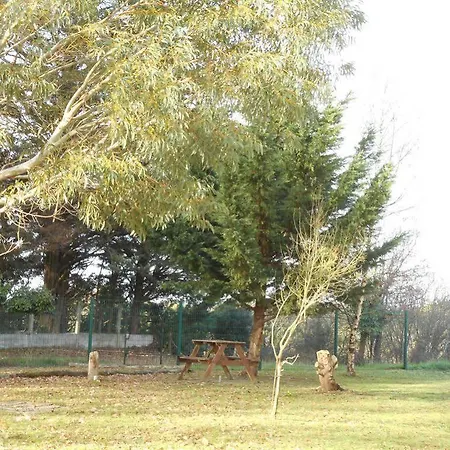 Salea فندق بورنيك